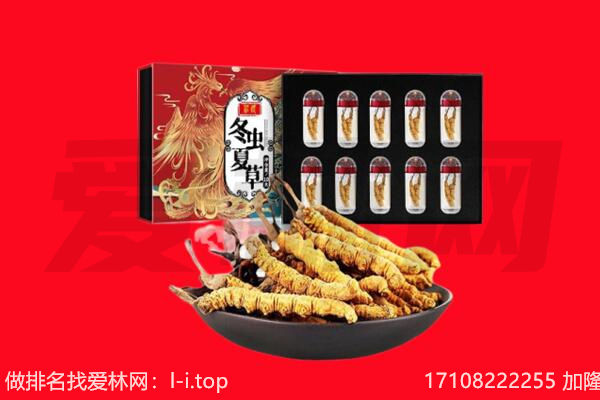阿克苏回收虫草.jpg